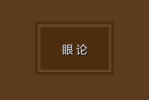 眼论