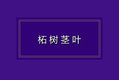 柘树茎叶