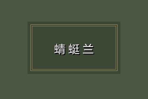 蜻蜓兰