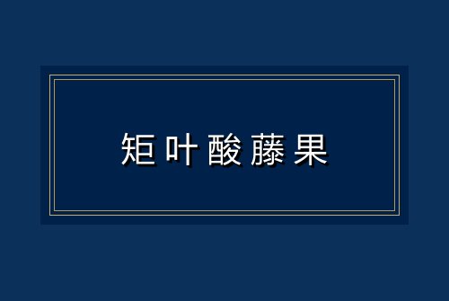 矩叶酸藤果