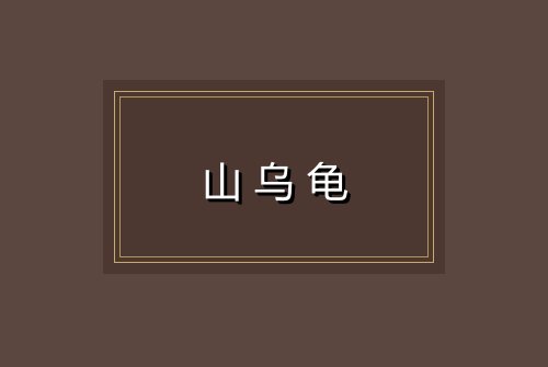 山乌龟