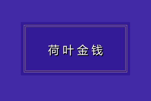 荷叶金钱